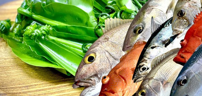 民宿マリウド新館annex