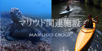マリウド関連施設