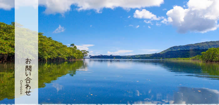 西表島民宿お問い合わせ