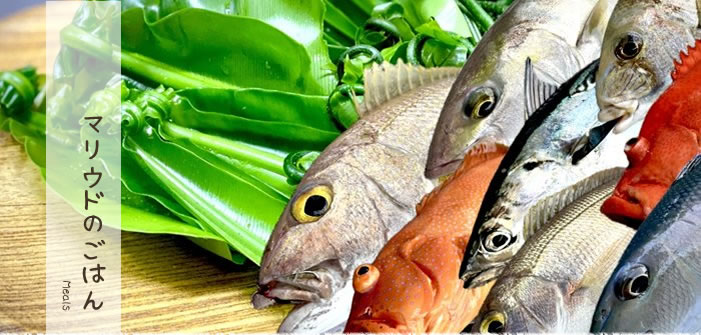 民宿の食事・メニュー