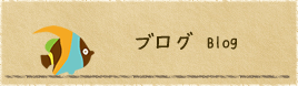 カヌートレッキング観光ツアーBlog