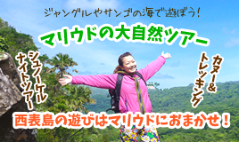 西表島カヌートレッキングツアー